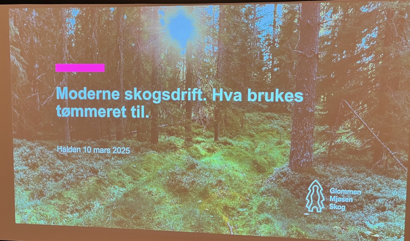 Hva bruker vi skogen til