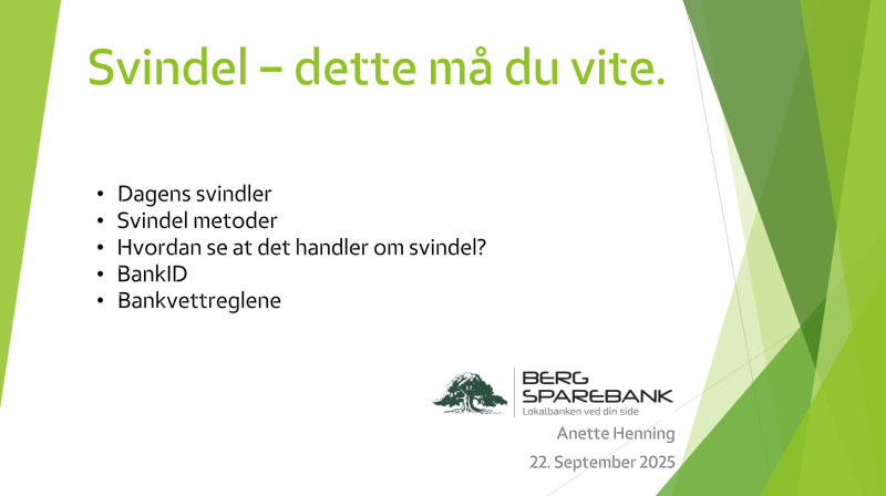 Foredrag om svindel